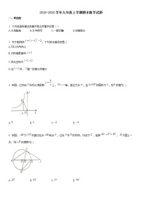 2019-2020学年九年级上学期期末数学试题