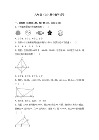 八年级上期中数学试卷01（教培机构模拟复习专用）