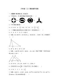 八年级上期末数学试卷01（教培机构期末复习模拟专用）