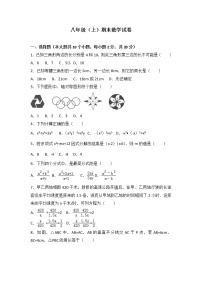 八年级上期末数学试卷11（教培机构期末复习模拟专用）