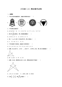 八年级上期末数学试卷10（教培机构期末复习模拟专用）