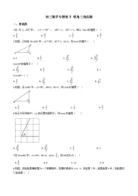 专题9《锐角三角函数》专题复习试卷（含答案）