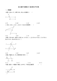 专题10《相交线与平行线》专题复习试卷（含答案）