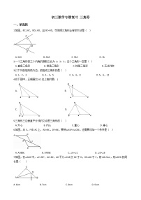 专题11《三角形》专题复习试卷（含答案）