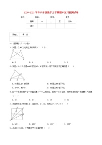 2020_2021学年八年级数学上学期期末复习检测试卷3