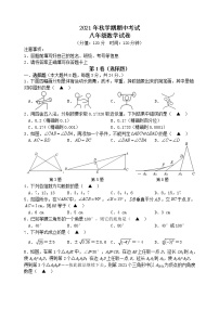 江苏省盐城市射阳县2021-2022学年八年级上学期期中考试数学试卷（word版 含答案）