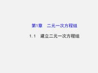 湘教版七年级下册1.1 建立二元一次方程组课文ppt课件