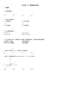 七年级（上）期末数学试卷4