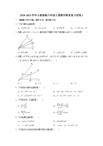 2020-2021学年人教新版八年级上册数学期末复习试卷1（Word版有答案）