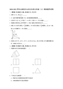 云南省文山州丘北县2020-2021学年上学期期末考试九年级 数学试卷（Word版 无答案）