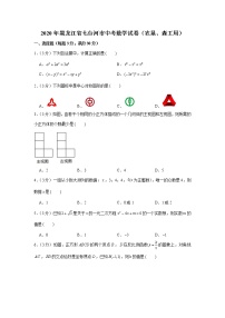 2020年黑龙江省七台河市中考数学试卷（农垦、森工用）