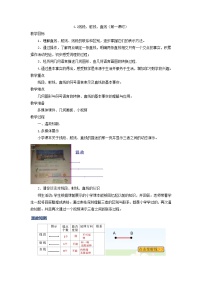 初中4.2  线段、射线、直线教案及反思