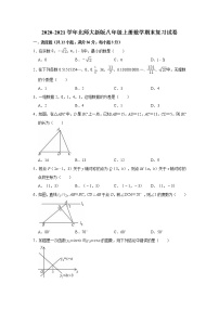 2020-2021学年北师大新版八年级上册数学期末复习试卷（word解析版）