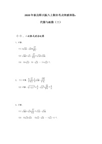 北师大版八年级数学上期末考点突破训练：代数与函数（三）（Word版，无答案）