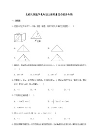 北师大版数学七年级上册期末综合提升专练（word版，无答案）