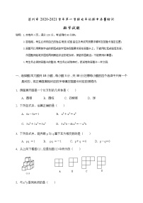 广东省清远市连州市2020-2021学年第一学期七年级数学期中考试试题（word版，无答案）