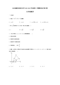 山东省滕州市张汪中学2020-2021学年度第一学期期中复习练习题九年级数学（Word版，无答案）