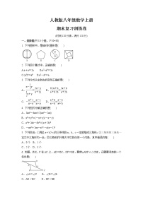 2021-2022学年人教版八年级数学上册期末复习训练卷（word版 含答案）