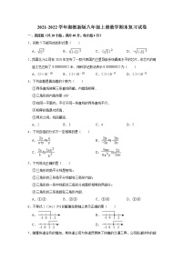 2021-2022学年湘教版八年级上学期数学期末复习试卷（word版 含答案）