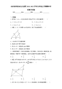 山东省枣庄市台儿庄区2021-2022学年九年级上学期期中考试数学试题（word版 含答案）