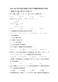 2021-2022学年北师大版数学八年级上册期末练习试卷（word版 含答案）