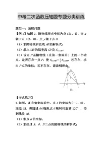 苏科版数学中考二次函数压轴题专题分类训练