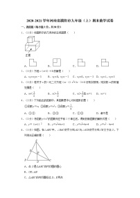 2020-2021学年河南省濮阳市九年级（上）期末数学试卷   解析版