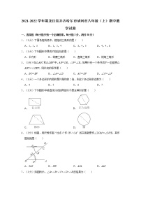 2021-2022学年黑龙江省齐齐哈尔市讷河市八年级（上）期中数学试卷   解析版