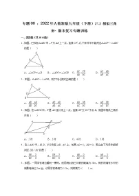 专题06 ：27.2 相似三角形- 期末复习专题训练 2021-2022学年人教版数学九年级下册