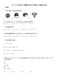 上学期期末学业水平测试8年级数学试卷