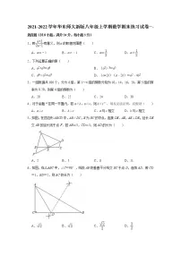 2021-2022学年华东师大版八年级上册数学期末练习试卷 （word版 含答案）