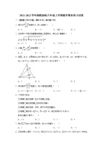 2021-2022学年湘教版八年级上册数学期末练习试卷（word版 含答案）