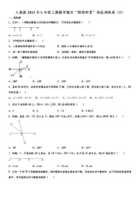 人教版2021年七年级上册数学期末“题型积累”培优训练卷（5） word版，含解析