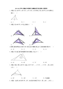 2021-2022学年人教版八年级数学上册期末复习综合训练（word版 含答案）