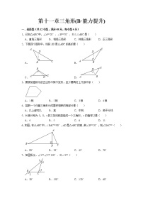 【期末必备】第十一章 三角形(B·能力提升)-2021-2022学年八年级数学上学期单元测试卷+期末过关卷(人教版)