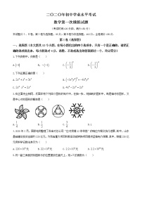 山东省泰安市泰山区2020届九年级中考一模数学试题及答案