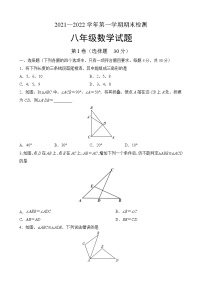 山东省济宁市2021-2022学年八年级上学期 数学期末模拟检测（word版 含答案）