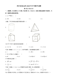 2020届四川省凉山州九年级中考数学真题（word版 含答案）