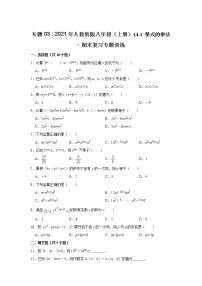 专题03    14.1 整式的乘法 - 期末复习专题训练   2021-2022学年人教版数学八年级上册