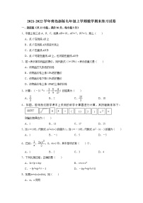 2021-2022学年青岛版七年级上学期数学期末练习试卷（word版 含答案）