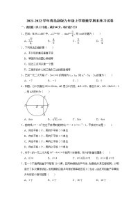 2021-2022学年青岛版九年级上学期数学期末练习试卷（word版 含答案）