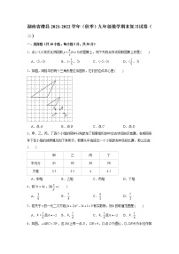 湖南省澧县2021-2022学年 九年级上学期数学期末复习试卷（二）（word版 含答案）