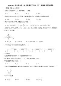 2021-2022学年浙江省宁波市海曙区八年级（上）期末数学模拟试卷（word版 含答案）