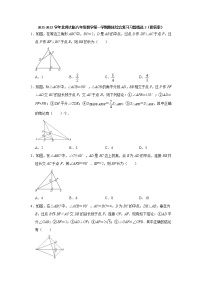 期末综合复习习题选（2）2021-2022学年北师大版八年级数学上册（word版 含答案）