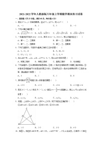 2021-2022学年人教版八年级上学期数学期末练习试卷（含答案）