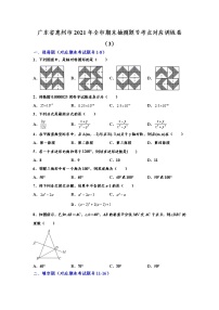 广东省惠州市2021年全市八年级上册期末抽测题号考点对应训练卷（3）（word版含解析）