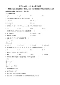 2020-2021学年北师大版数学八年级上册期末测试（1）（含详细答案）.docx