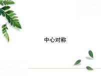 初中数学华师大版七年级下册10.4 中心对称获奖ppt课件