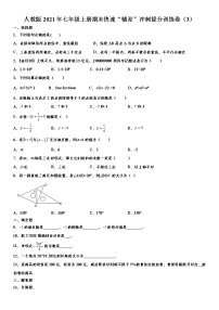 人教版2021年七年级上册期末快速“辅差”冲刺提分训练卷（3） word版，含解析