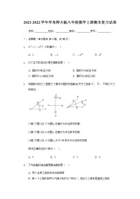 2021-2022学年华东师大版八年级数学上册期末复习试卷